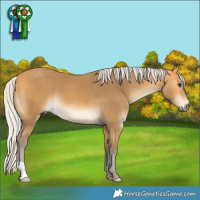 Horse Color:Silver Buckskin 