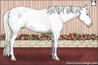 Horse Color:White Spotted Silver Classic Champagne Dun Splash Tobiano Snowcap 
