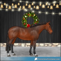 Horse Color:Bay Rabicano and Bay Rabicano