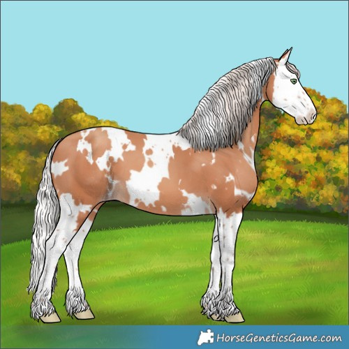 Horse Color:White Spotted Silver Amber Champagne Splash 