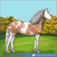 Horse Color:White Spotted Silver Amber Champagne Splash