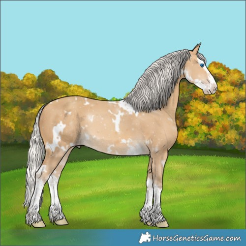 Horse Color:White Spotted Silver Sable Cream Champagne Splash 