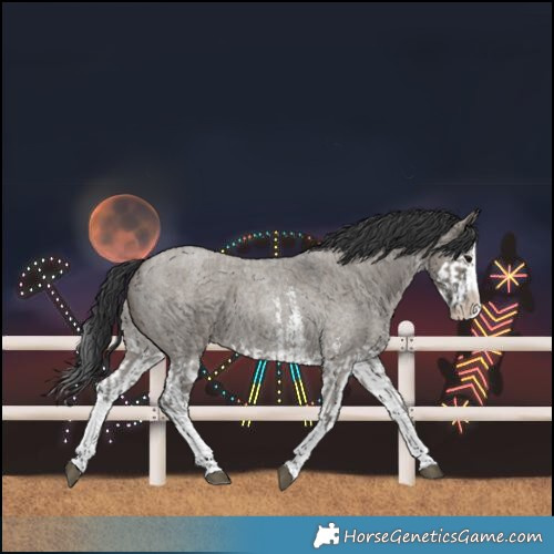 Horse Color:Grullo Roan Sabino Splash  and Grullo Roan Sabino Splash 