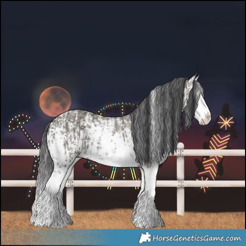 Horse Color:Grullo Sabino Splash  and Grullo Sabino Splash 