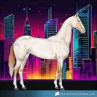 Horse Color:Red Dun Roan Splash