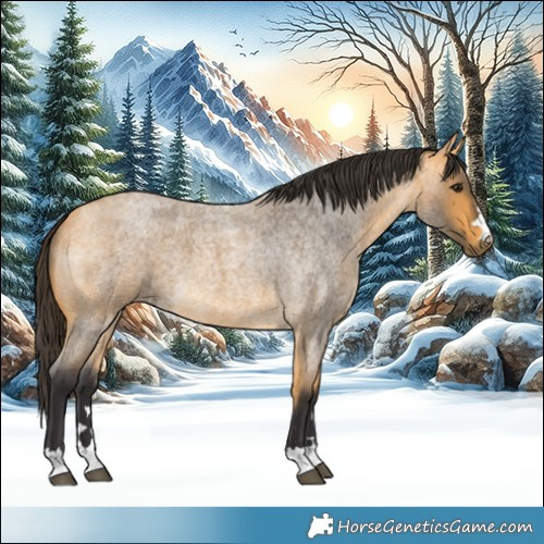 Horse Color:Buckskin Roan
