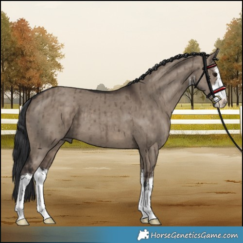 Horse Color:White Spotted Brown Dun Brindle