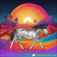 Horse Color:Grullo Sabino Splash  and Grullo Sabino Splash Frame 