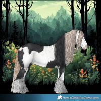 Horse Color:Black  and Red Dun Splash Blanket 