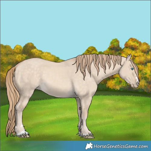Horse Color:Perlino Dun 