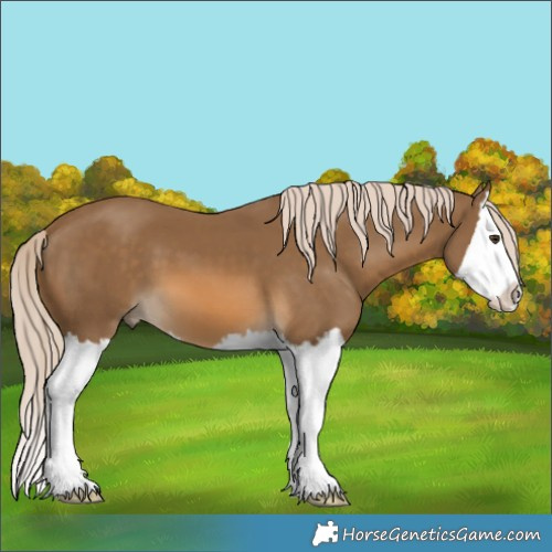 Horse Color:Chocolate Palomino Splash