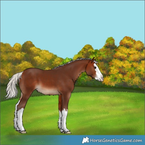Horse Color:White Spotted Silver Bay Splash 