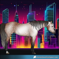 Horse Color:Gray Bay