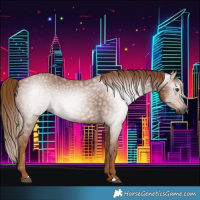 Horse Color:Gray Chestnut