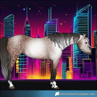 Horse Color:Gray Bay 