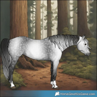 Horse Color:Gray Black 
