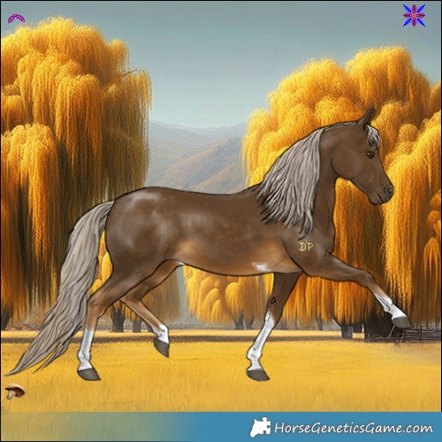 Horse Color:Chocolate Palomino Mushroom Tobiano 
