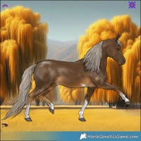 Horse Color:Chocolate Palomino Mushroom Tobiano
