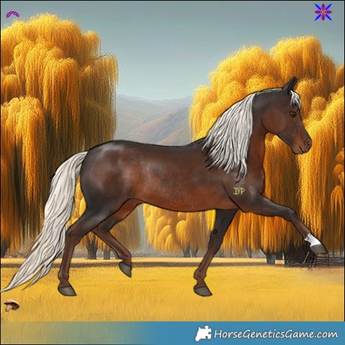 Horse Color:Liver Chestnut Mushroom Rabicano 