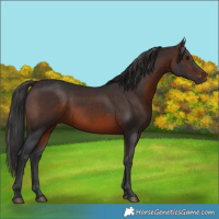 Horse Color:Brown 