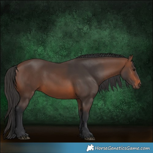 Horse Color:Brown 