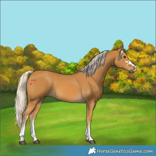 Horse Color:Palomino 