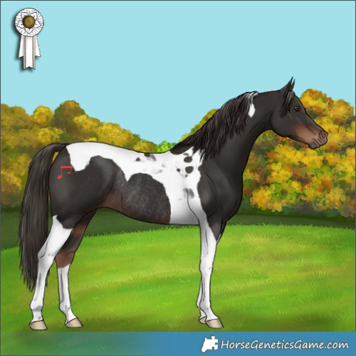 Horse Color:Liver Chestnut Tobiano Rabicano 