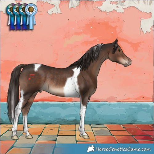 Horse Color:Liver Chestnut Tobiano Rabicano 