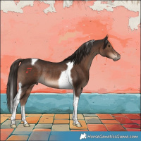 Horse Color:Liver Chestnut Tobiano Rabicano