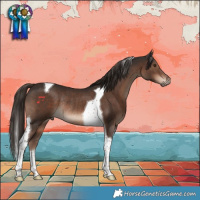 Horse Color:Liver Chestnut Tobiano Rabicano 