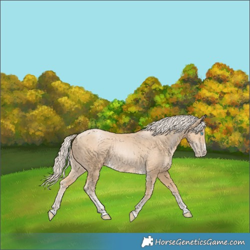 Horse Color:Palomino Pearl