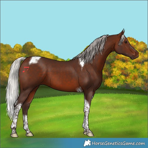 Horse Color:Silver Brown Tobiano 
