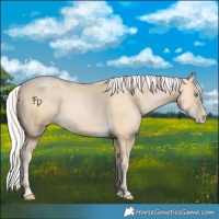 Horse Color:Silver Buckskin Pearl 
