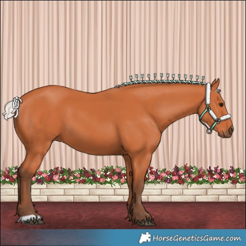 Horse Color:Silver Bay