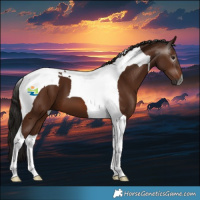 Horse Color:Gray Bay Tobiano 