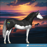 Horse Color:Gray Black Splash 