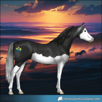 Horse Color:Gray Black Splash