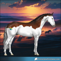 Horse Color:Gray Bay Splash
