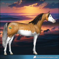 Horse Color:Gray Amber Cream Champagne Splash