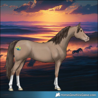 Horse Color:Classic Champagne 