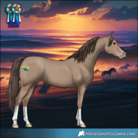 Horse Color:Classic Champagne