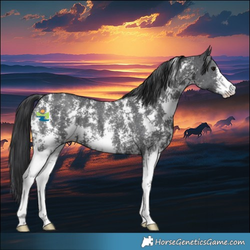 Horse Color:Black Sabino 