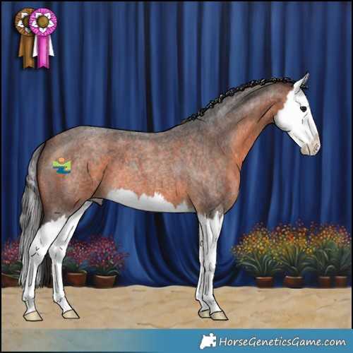 Horse Color:Brown Roan Splash 