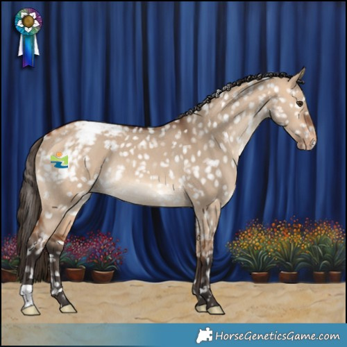 Horse Color:Bay Dun Snowcap Rabicano 