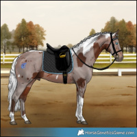 Horse Color:Silver Brown Merle Tobiano 