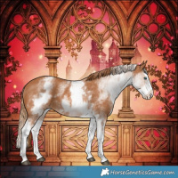 Horse Color:White Spotted Chestnut Splash