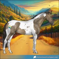 Horse Color:Buckskin Dun Tobiano 