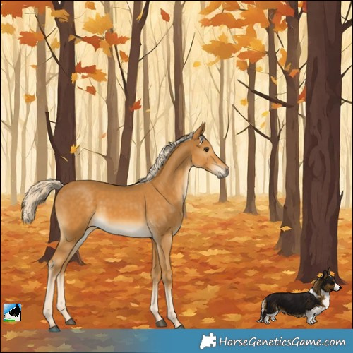 Horse Color:Palomino