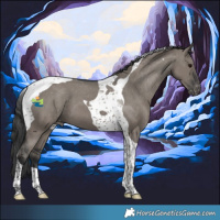 Horse Color:Grullo Tobiano Varnish