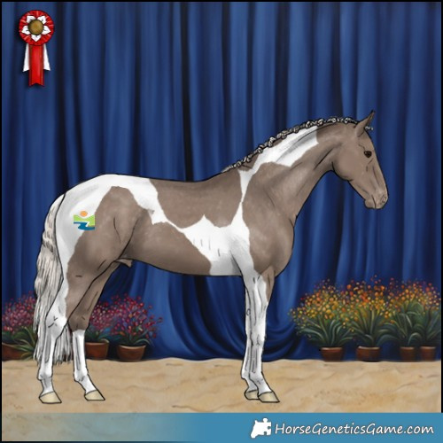 Horse Color:Silver Black Tobiano Appaloosa 